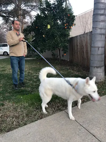 Pet boarding service Land Bark Pet Supplies Sacramento