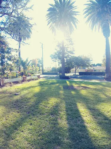 Dog Park Daisy Greenbelt Long Beach