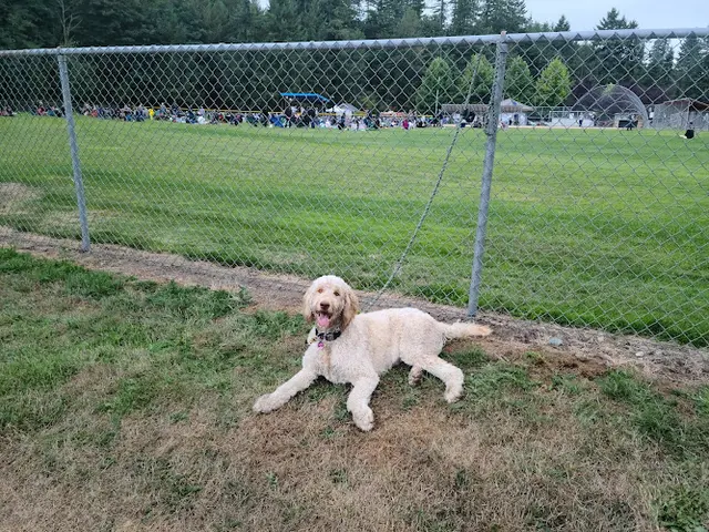 Dog Park Off Leash Dog Park Kirkland