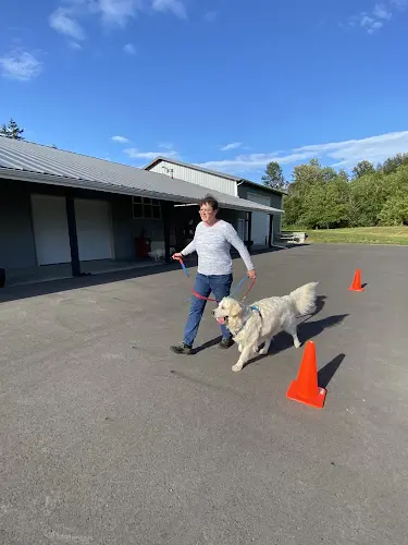 Dog trainer Cedarwoods Canine School Bellingham