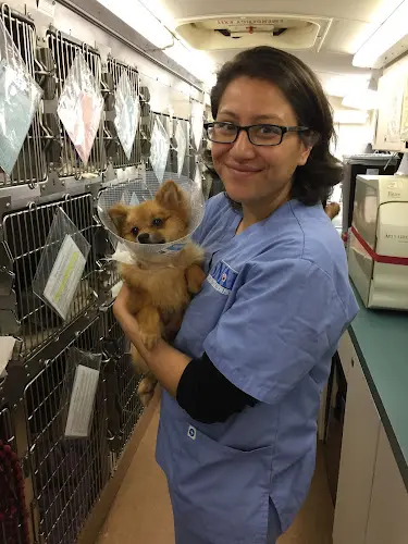 Dog breeder SNAP: Spay-Neuter Action Project of San Diego San Diego