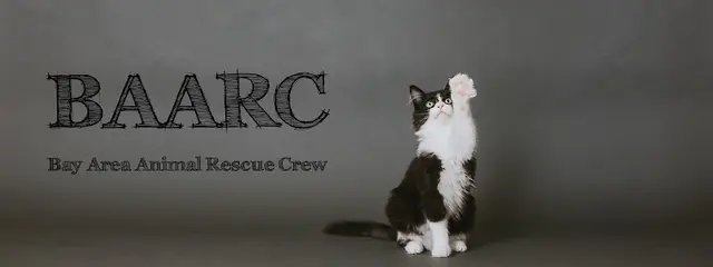 Rescue & Shelter Bay Area Animal Rescue Crew Concord