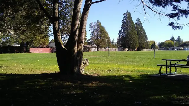 Dog Park Benicia Park Santa Rosa