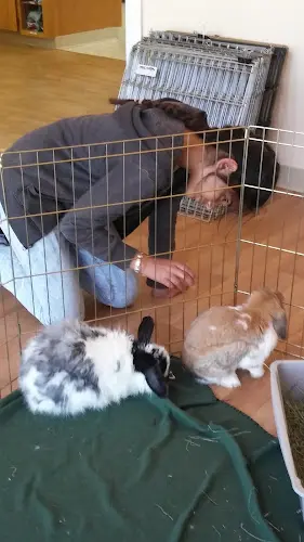 Pet vet House Rabbit Society Richmond