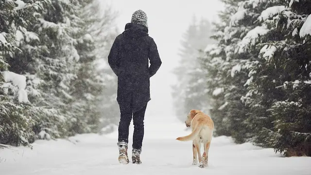 Pet vet Banfield Pet Hospital Simi Valley