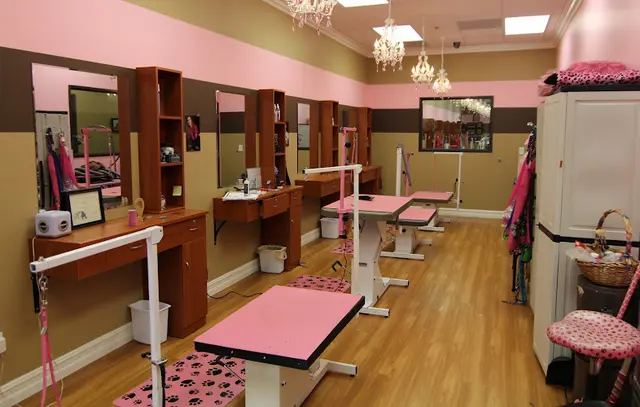 Dog day care center Ambers Luxury Pet Hotel And Spa Fontana