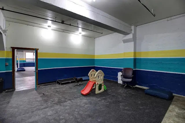 Dog walker Tails of the City - Doggy Daycare and Boarding Seattle
