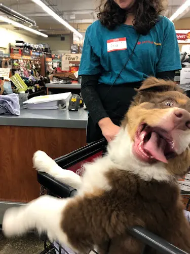 Pet vet Pet Food Express Berkeley