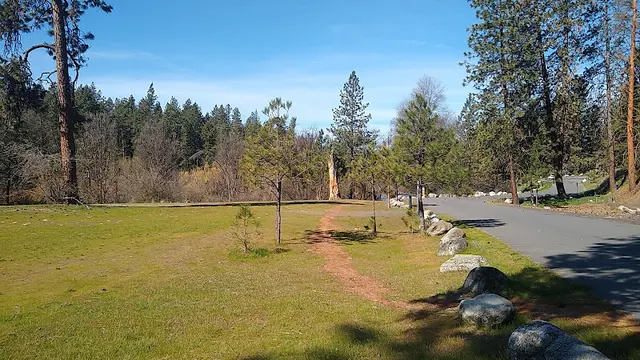 Dog Park Downriver Park Spokane