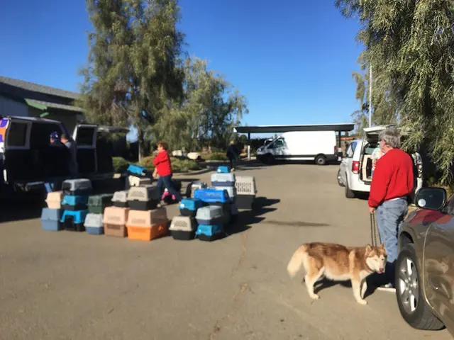 Rescue & Shelter Avenal Animal Shelter Bakersfield