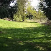 Dog Park Gum Drop City Park Gresham