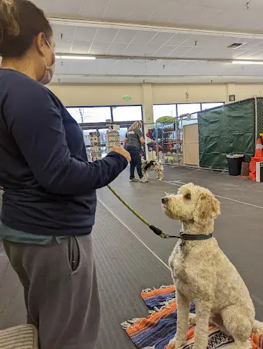 Dog breeder Naturally 4 Paws Federal Way