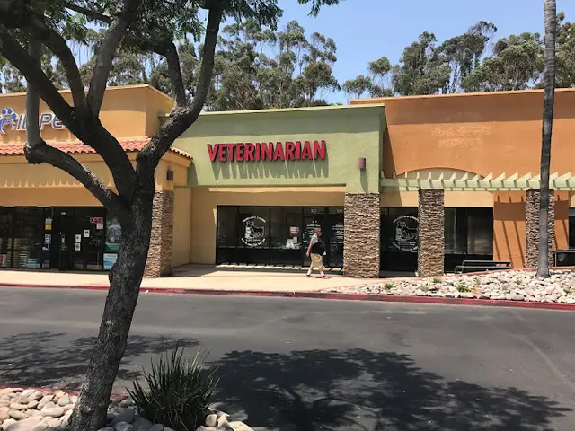 Dog day care center Telegraph Canyon Animal Medical Center Chula Vista