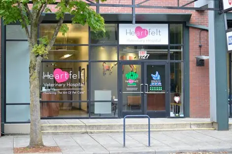 Pet vet Heartfelt Veterinary Hospital Gresham