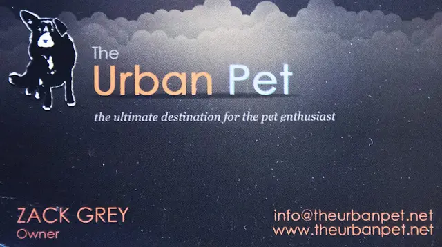 Pet vet The Urban Pet Pasadena