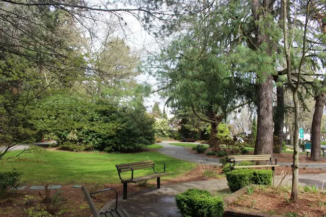 Dog Park Goddard Park Bellevue