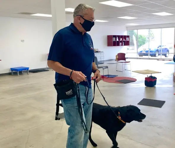 Dog trainer Freedom Dogs Vista