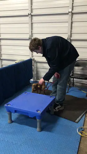 Dog trainer Wildwood K9 Fun Center, LLC Salem