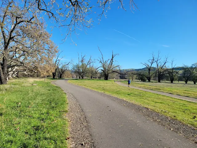 Dog Park Sycamore Grove Park Livermore