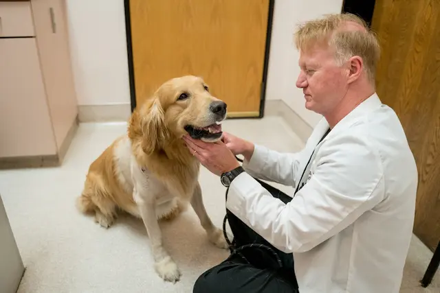 Pet boarding service Beacon Veterinary Specialists Fremont