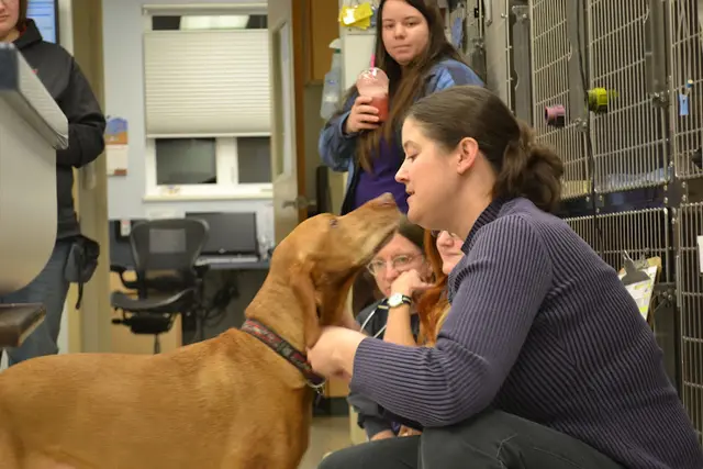 Pet vet VCA Far Country Animal Hospital Anchorage