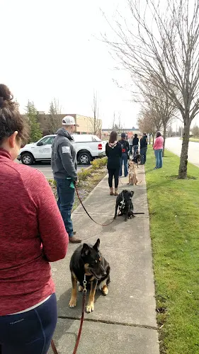 Dog trainer Sparks K9 Services Renton