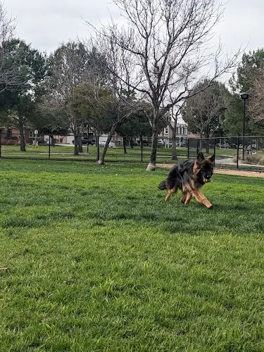 Dog Park Dairyland Dog Park Ontario