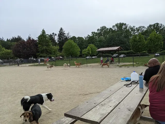 Dog Park Keizer Rapids Dog Park Salem