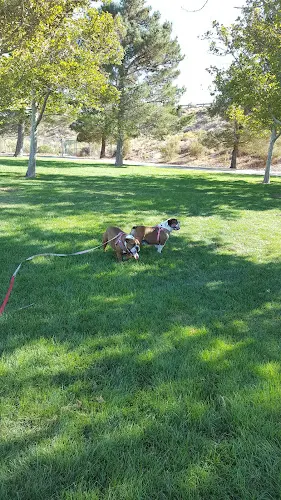 Dog Park Pelona Vista Park Lancaster