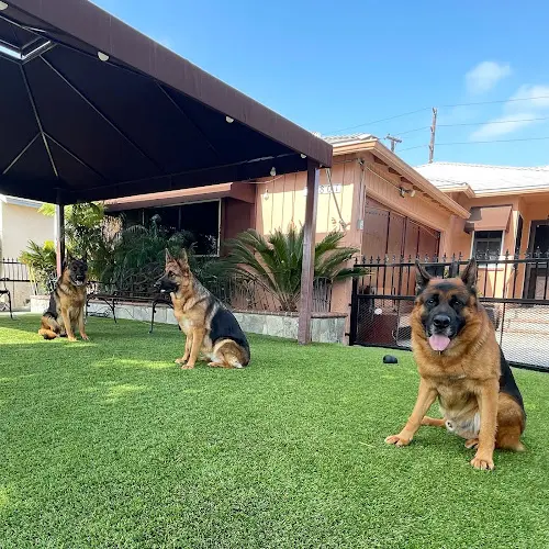 Rescue & Shelter South Bay K9 Torrance