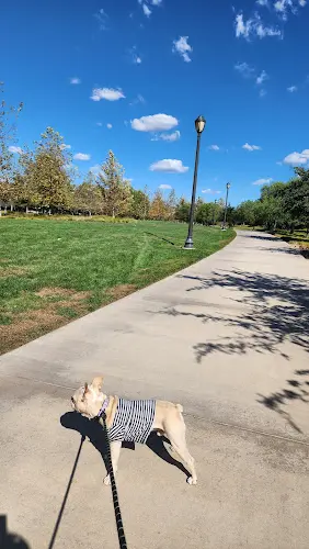 Dog Park Jeffrey Open Space Trail Irvine