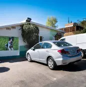 Rescue & Shelter Heart of Gold's Shelter San Diego