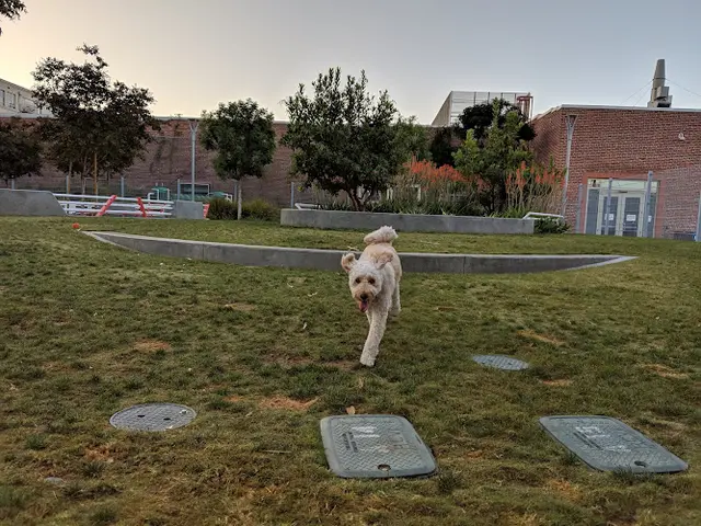 Dog Park Arts District Park South Gate