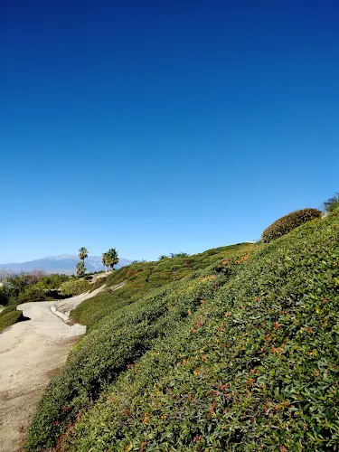 Dog Park Natural Parkland Trailhead San Bernardino