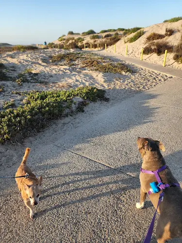 Dog Park Oxnard Beach Park Ventura
