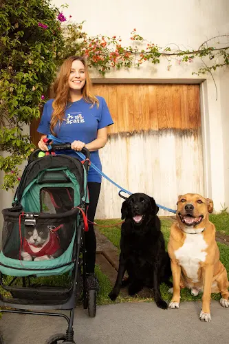 Dog walker K-9 KATS PET SITTING Los Angeles