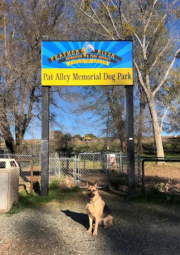 Dog Park Pat Alley Memorial Dog Park Chico