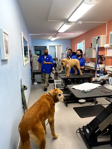 Dog day care center The Dog Barber San Francisco