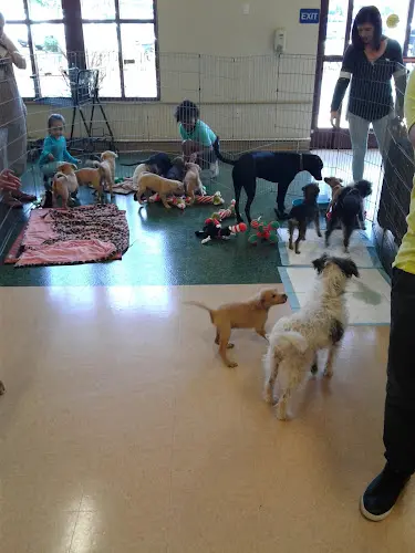 Pet vet Petco Chula Vista