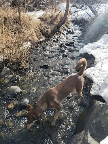 Dog Park South Bivouac Trailhead Anchorage