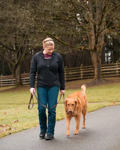 Dog trainer Any Breed Training Seattle