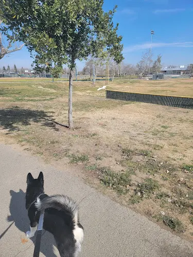 Dog Park Aera Park Bakersfield