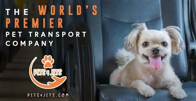 Pet boarding service Pets 4 Jets LLC. Fullerton