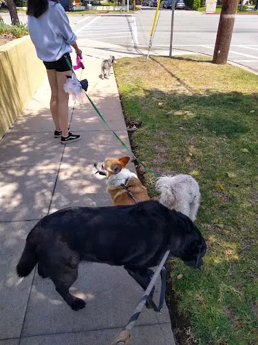 Dog walker Maggie & Friends Pet Care Pasadena