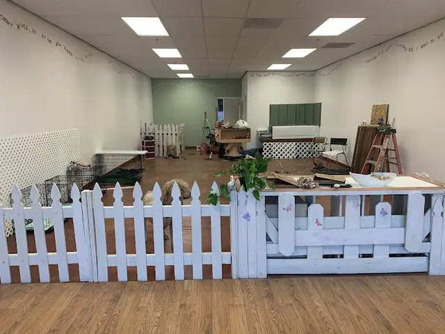 Pet boarding service The barking lot dog spa Fresno