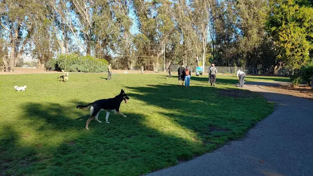 Dog Park St. Mary's Dog Park San Francisco