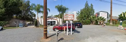 Pet vet The Pet Doctor San Bernardino