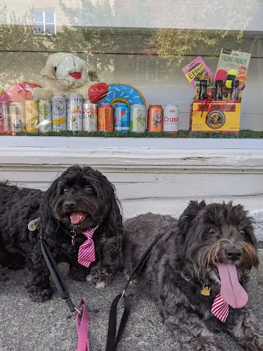 Dog day care center Downtown Dog Lounge Bakery Seattle