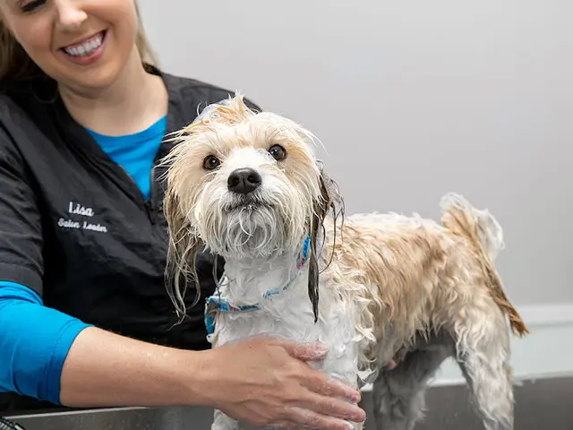 Dog breeder PetSmart San Leandro