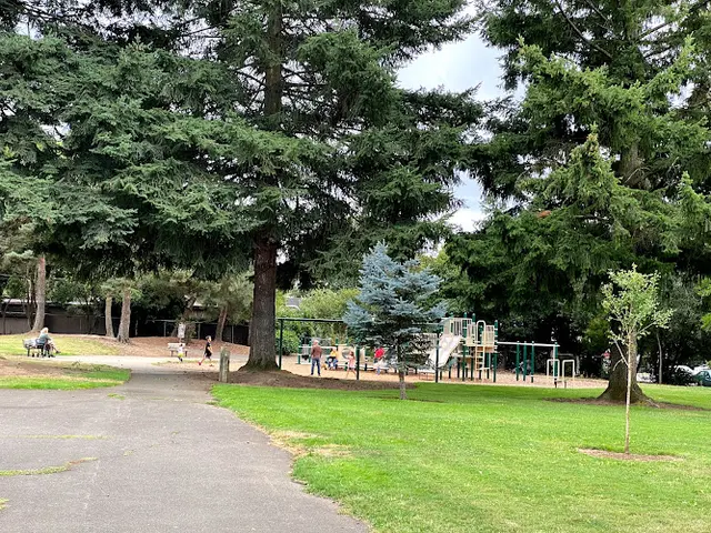Dog Park John Ball Park Vancouver